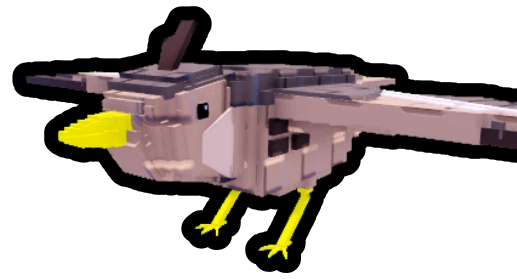 Bird